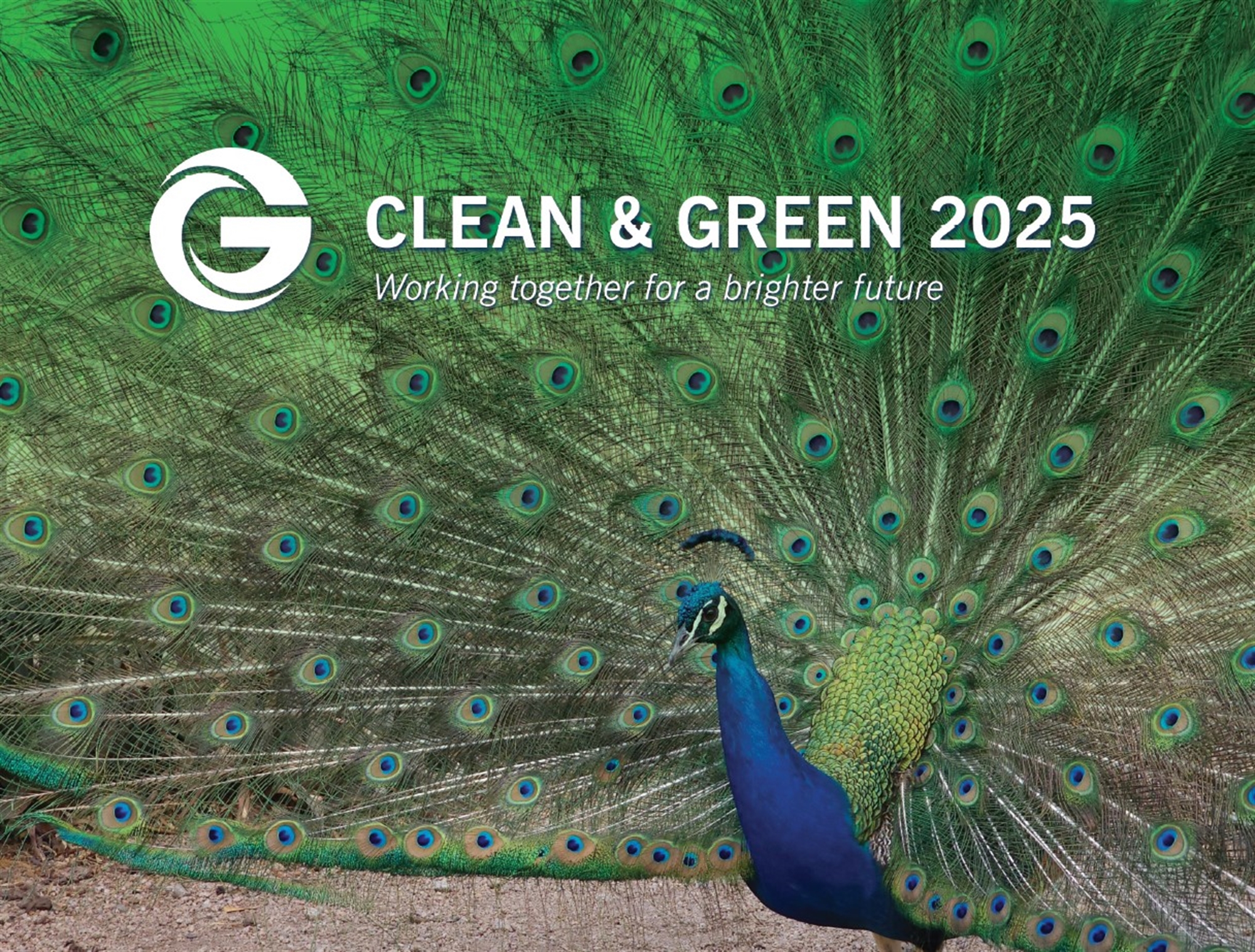 Clean and Green 2025