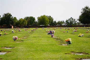 Memorial-Park-Green_Thumbnail.jpg