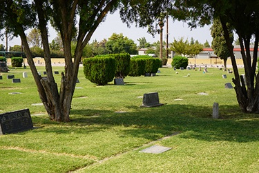 Memorial-Park_Thumb.jpg