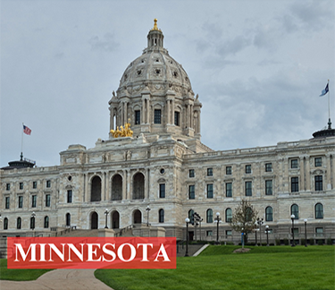 Minnesota_crop.png
