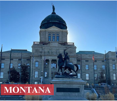 Montana_1.png
