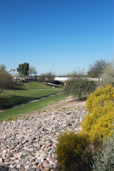 grand-canal-linear-park.jpeg