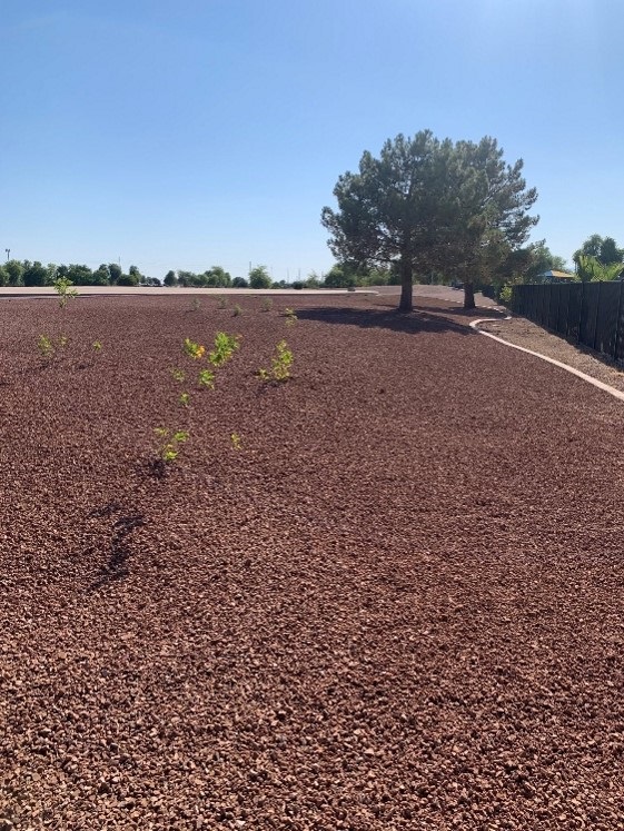 Glendale landscape.jpg