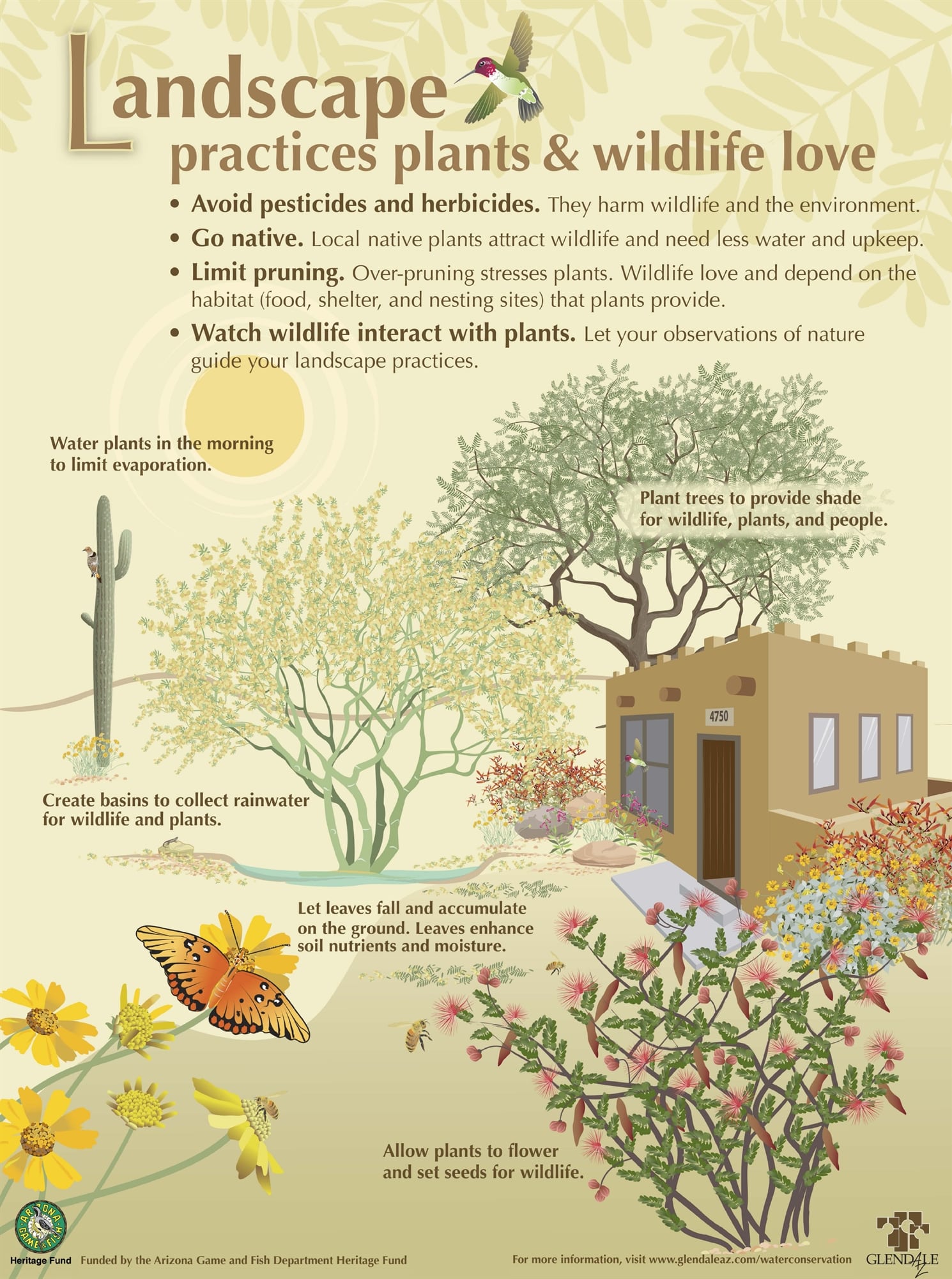 Landscape practices plants & wildlife love