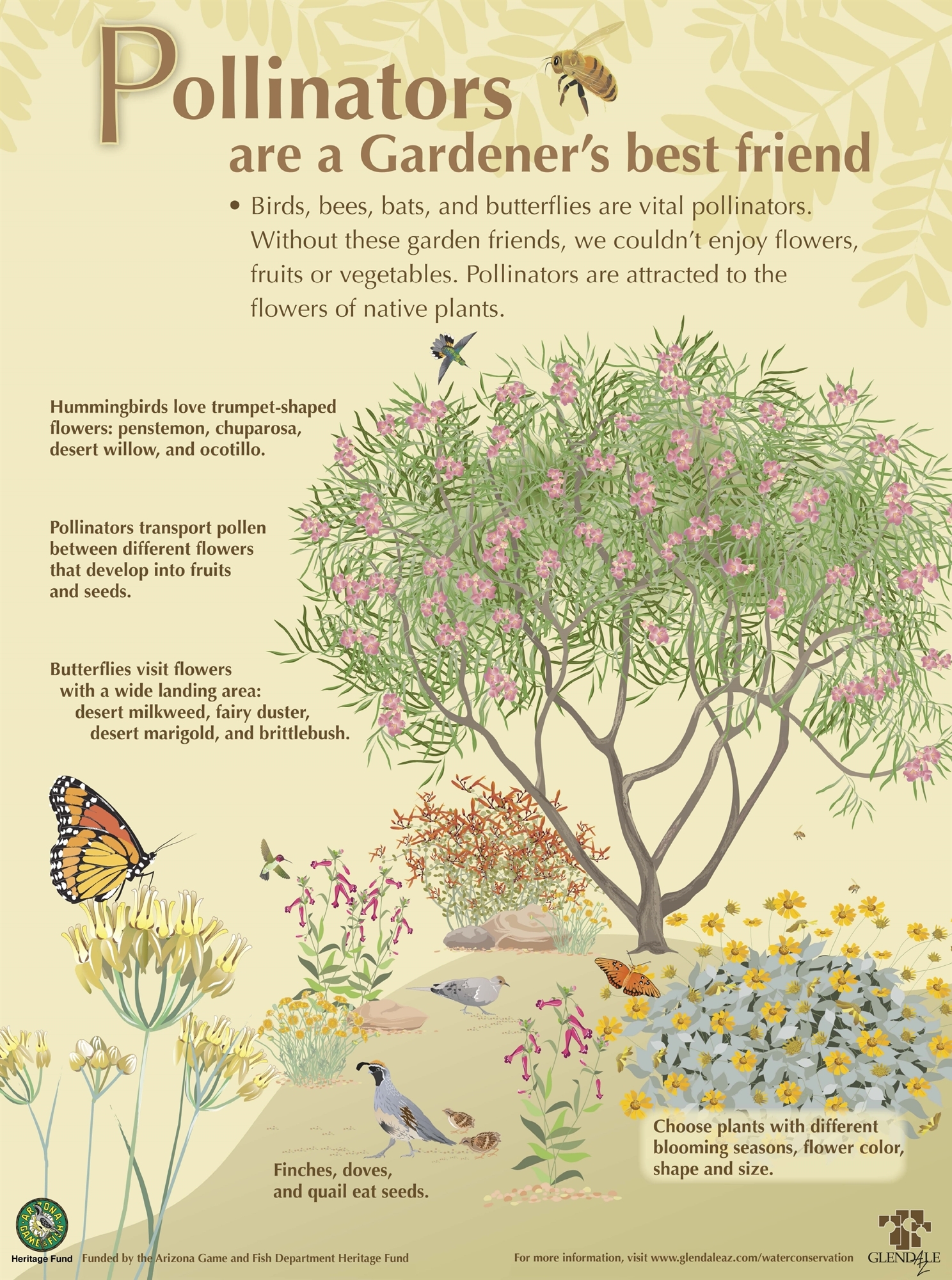 Pollinators