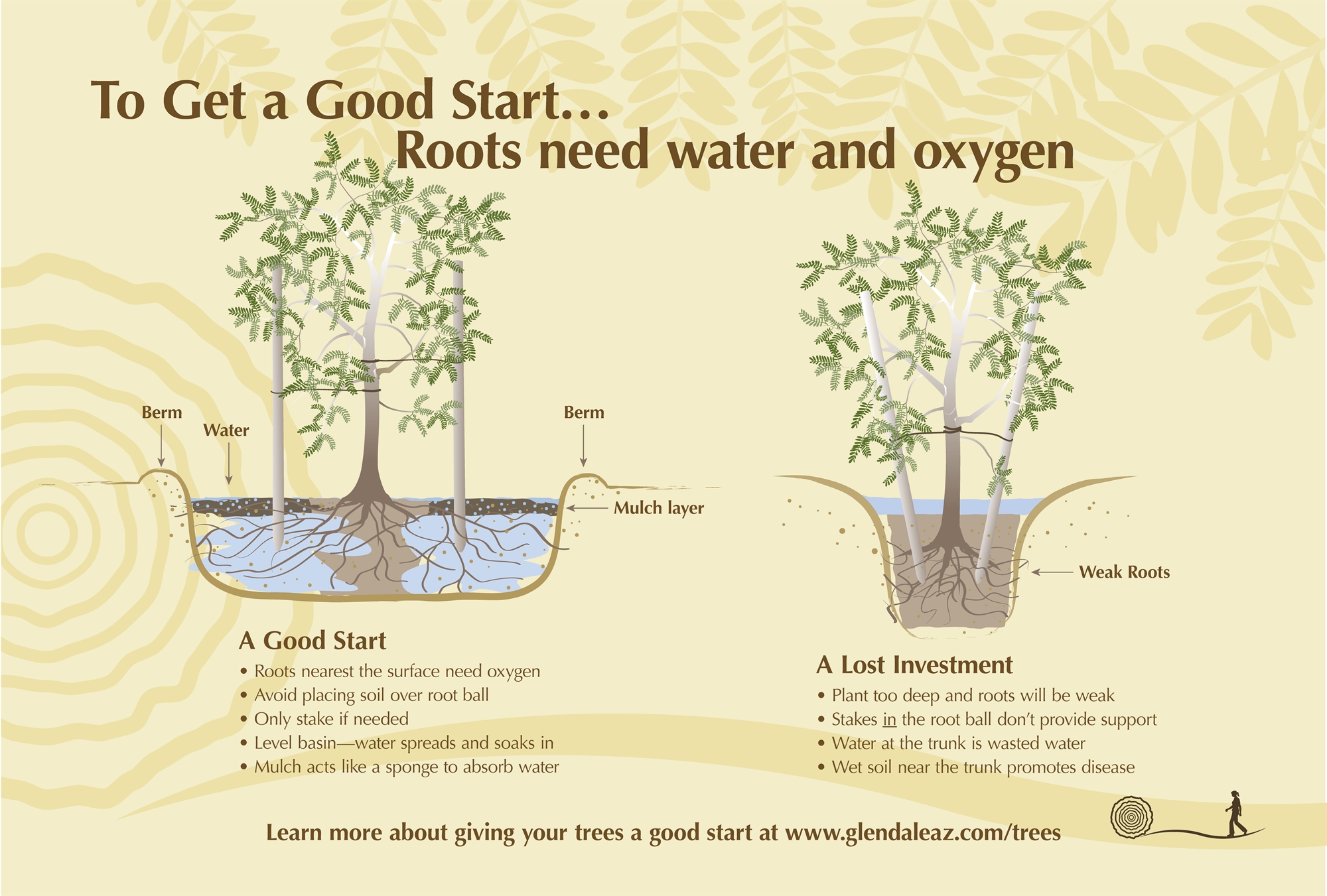 To get good start, roots need water and oxygen