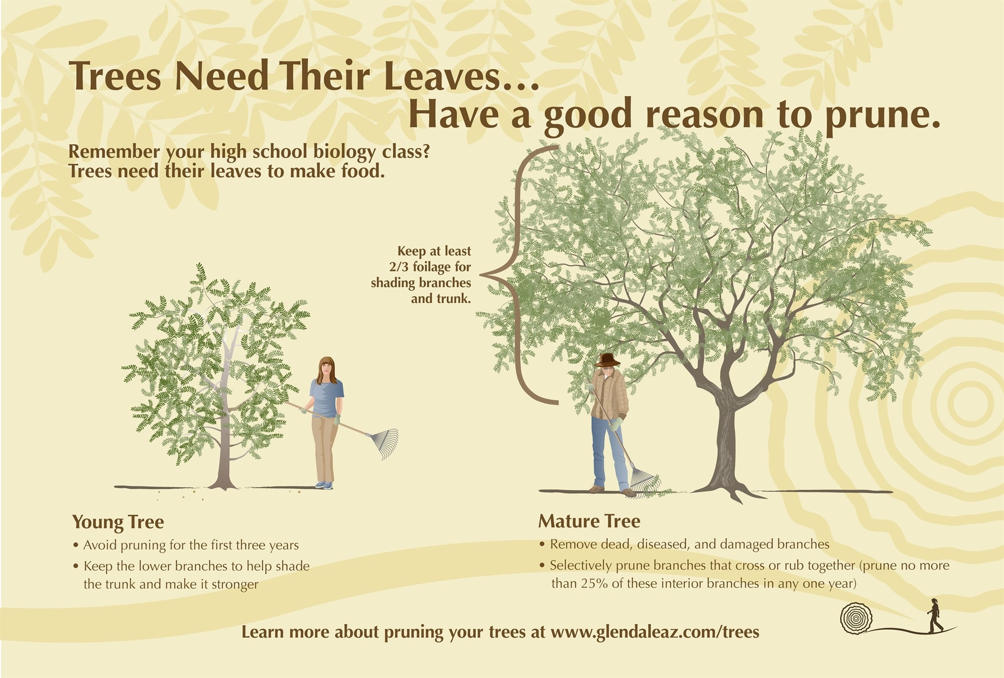 Trees need their leaves; have a good reason to prune