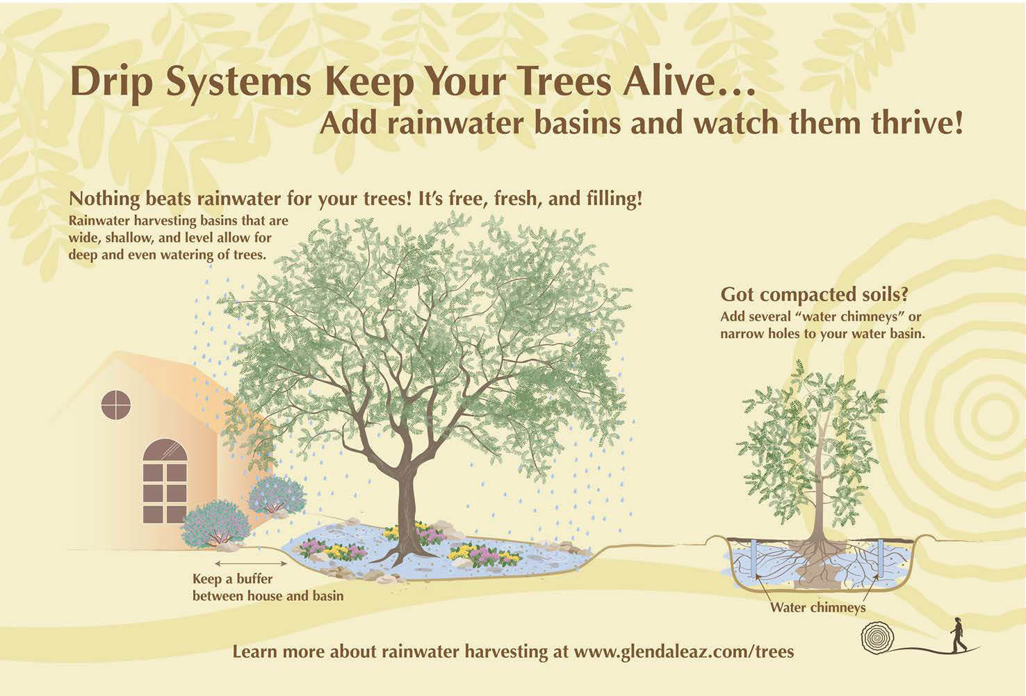 Drip systems keep your trees alive, add rainwater basins and watch them thrive!