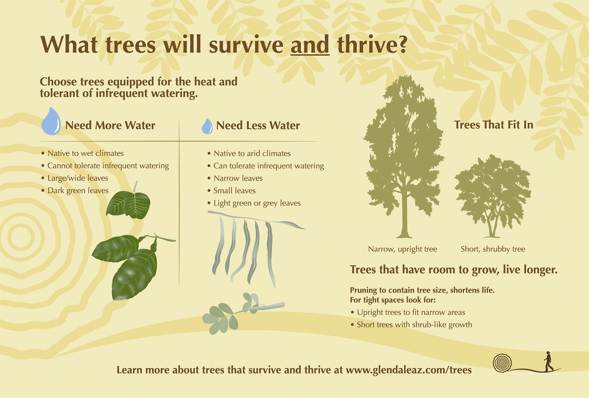 What trees will survive and thrive?
